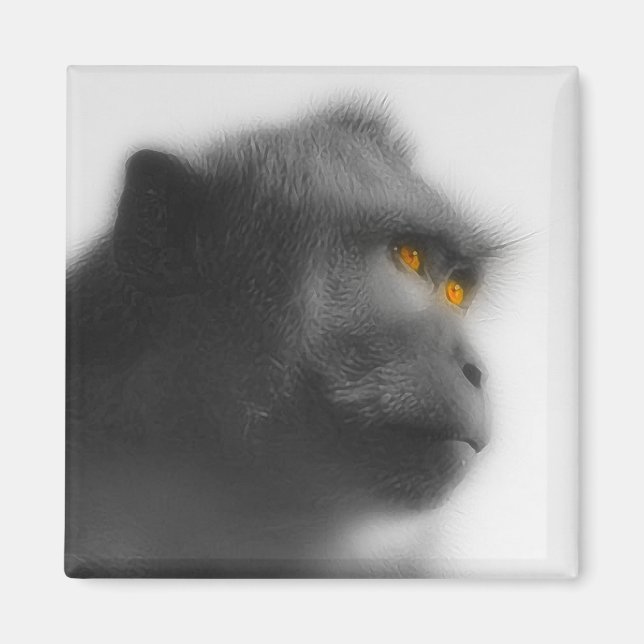 Aimant Singe songeur (Devant)