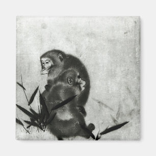 Aimant Singes