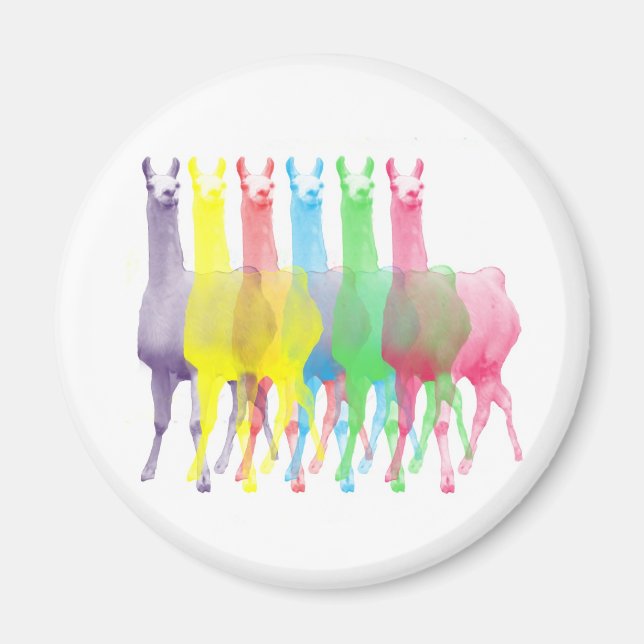 Aimant six lamas dans six couleurs lamas (Devant)