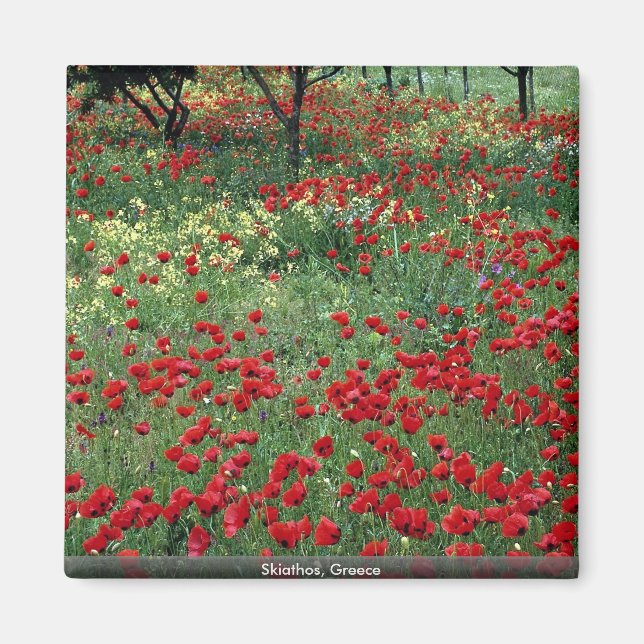 Aimant Skiathos, Grèce (Devant)