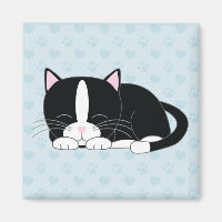 Sleepy Kitty {Tuxedo}