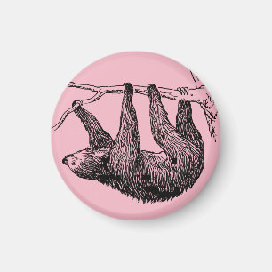 Aimant Sloth