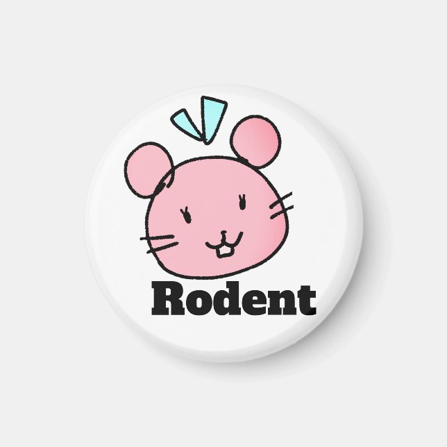 Aimant ♡small animal♡Rodent (Devant)