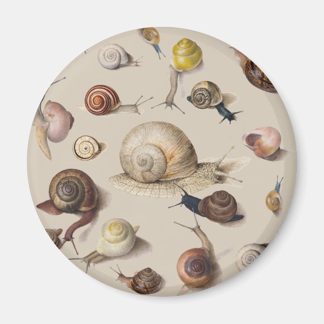 Aimant Snail Slug Garden Pet Gastropod (Devant)