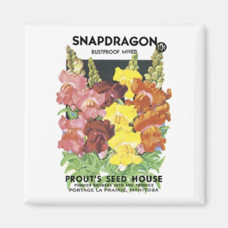 Aimant Snapdragon, Mélange Rustproof, Maison de semences 
