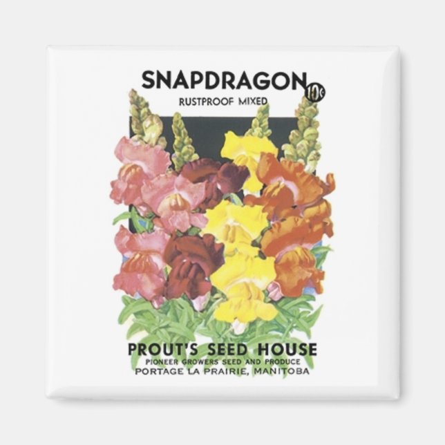 Aimant Snapdragon, Mélange Rustproof, Maison de semences  (Devant)