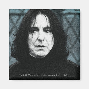 Aimant Snape 1