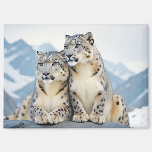 Aimant Snow Leopard Animal Nature Animale Affection Faune