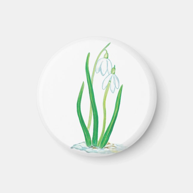 Aimant Snowdrops (Galanthus nivalis) (Devant)