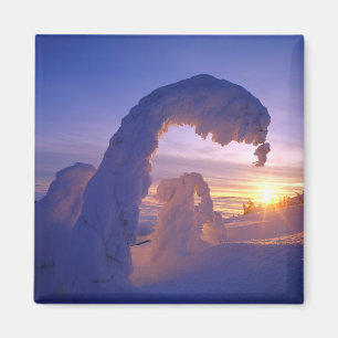Aimant Snowghosts dans la chaîne de corégones du Montan