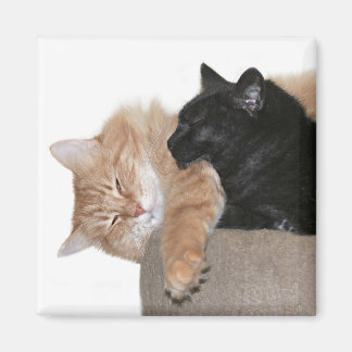 Aimant Snuggle buddies