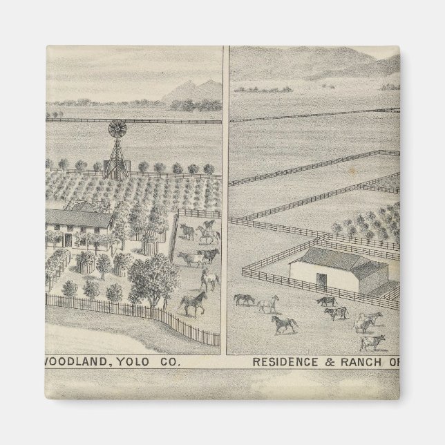 Aimant Société du bois (Devant)