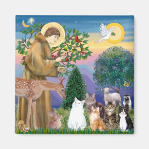 Aimant Soeur Frances Bénir 5 chats