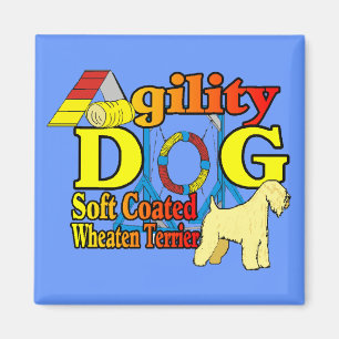 Aimant Soft_Coated_Wheaten_Terrier_Agilité