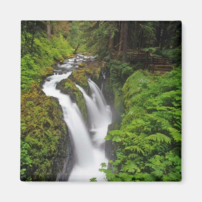 Aimant Sol Duc Falls dans le Parc national Olympique en (Devant)