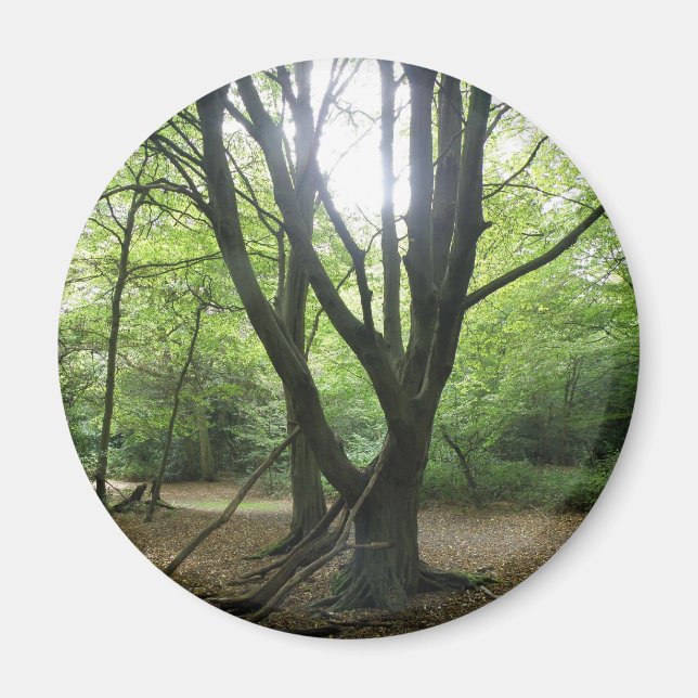 Aimant solaire en bois (Devant)