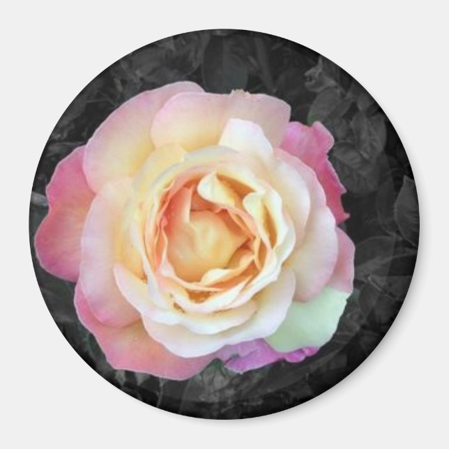 Aimant Soleil (Devant)