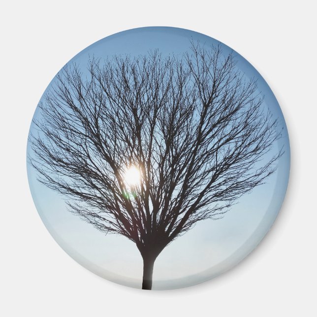 Aimant soleil d'hiver (Devant)