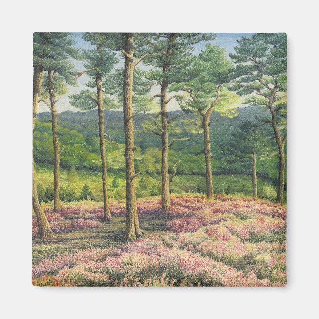 Aimant Soleil du soir, Pins de Surrey Hills à Pastel (Devant)