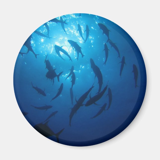 Aimant Soleil et fond sous la mer (Devant)