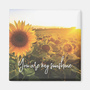 Aimant Soleil tournesol