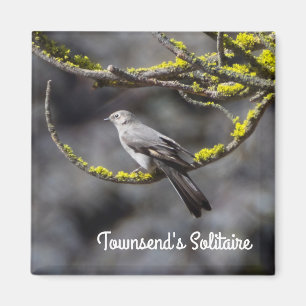 Aimant Solitaire de Townsend