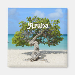 Aimant Solo Divi Divi Tree à Aruba