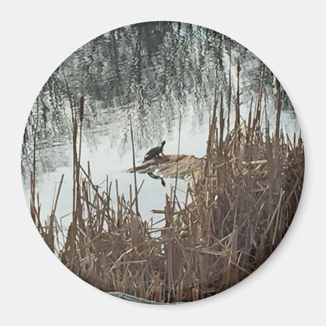 Aimant Solstice d'hiver (Devant)