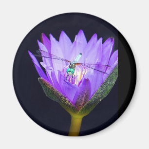 Aimant Sonia sauvage