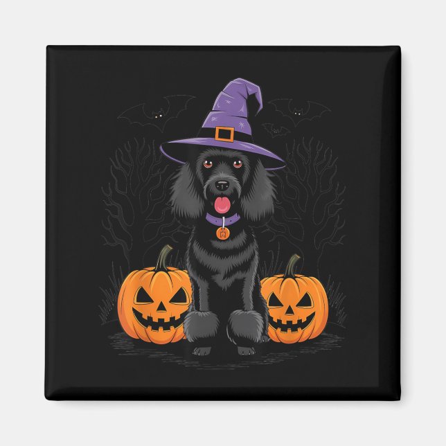 Aimant Sorcière d'Halloween Chien Caniche Noir Standard S (Devant)