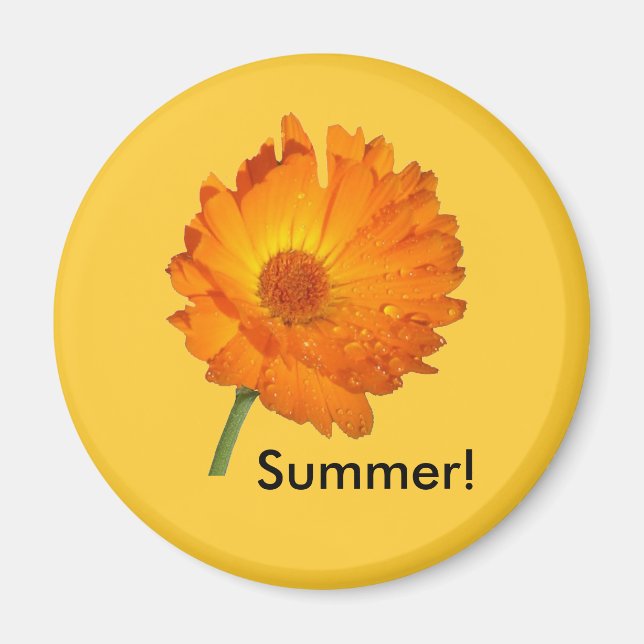 Aimant - Souci sur tige (Devant)