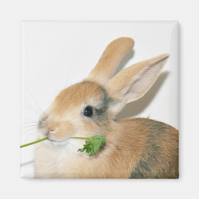 Aimant Souriez quand vous mangez ça (Devant)