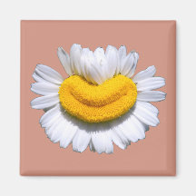 Sourire de Camomille Radieux et Heureux 