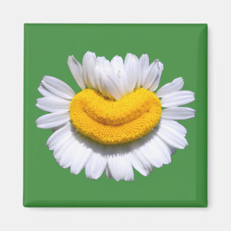 Aimant Sourire de Camomille Radieux et Heureux 