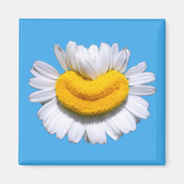 Aimant Sourire radieux de camomille  (Devant)