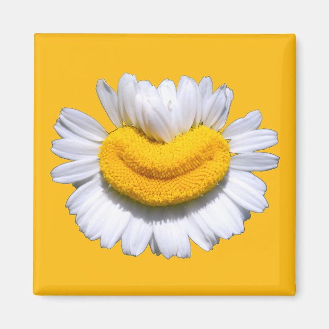 Aimant Sourire radieux de camomille  (Devant)