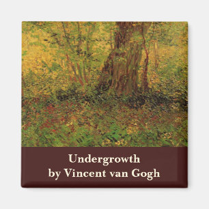 Aimant Sous-développement par Vincent van Gogh