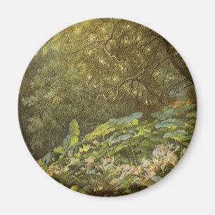 Aimant Sous les Feuilles de Dock par Richard Doyle, Fairy