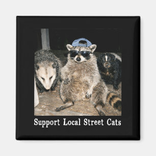 Aimant Soutenir les chats des rues locaux drôle de raton