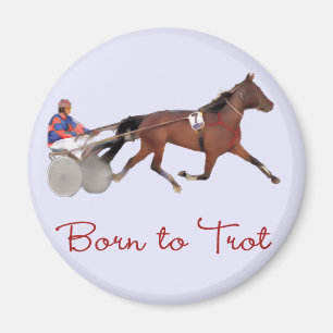 Aimant Soutenu pour trotter