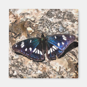 Aimant Southern White Admiral Blue Butterfly Painting