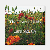 Aimant souvenir, Champs de fleurs, Carlsbad, CA.