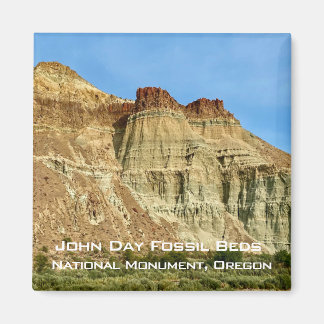 Aimant Souvenir : Lits Fossil John Day, OU