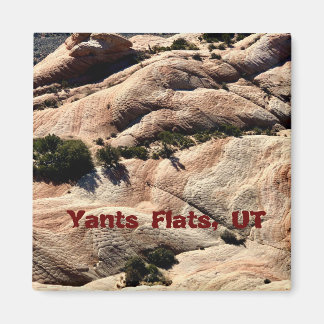 Aimant souvenir : Yants Flats, St. George, UT