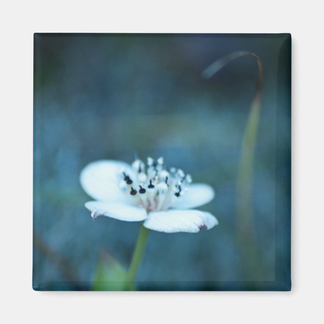 Aimant Souvenirs d'été (Devant)