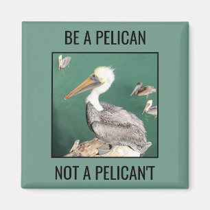 Aimant Soyez pélicans, pas pélicans
