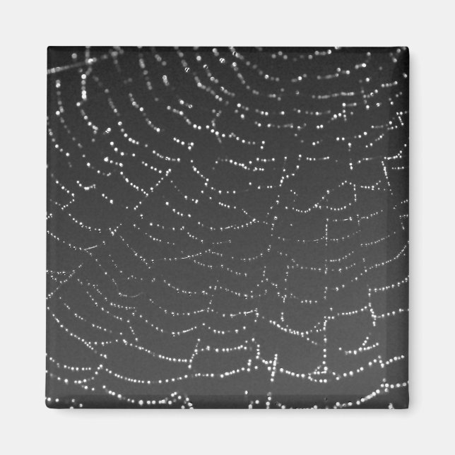 Aimant Sparkling Spiderweb (Devant)
