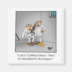 Aimant Spectacles magnétiques à Humour de vin amusant