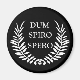 Aimant sperme spiro