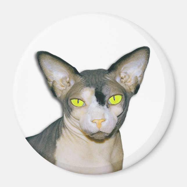 Aimant Sphynx Cat Ninja White Round (Devant)